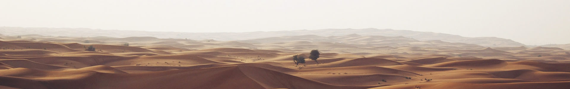 ൺ轺޹˾
